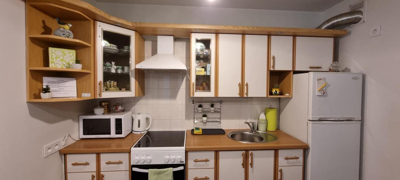 Apartment Santariskes